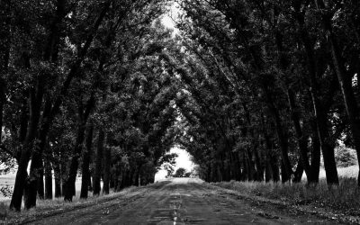 Aliquid voluptatem molestiae cumque ut vero doloremque